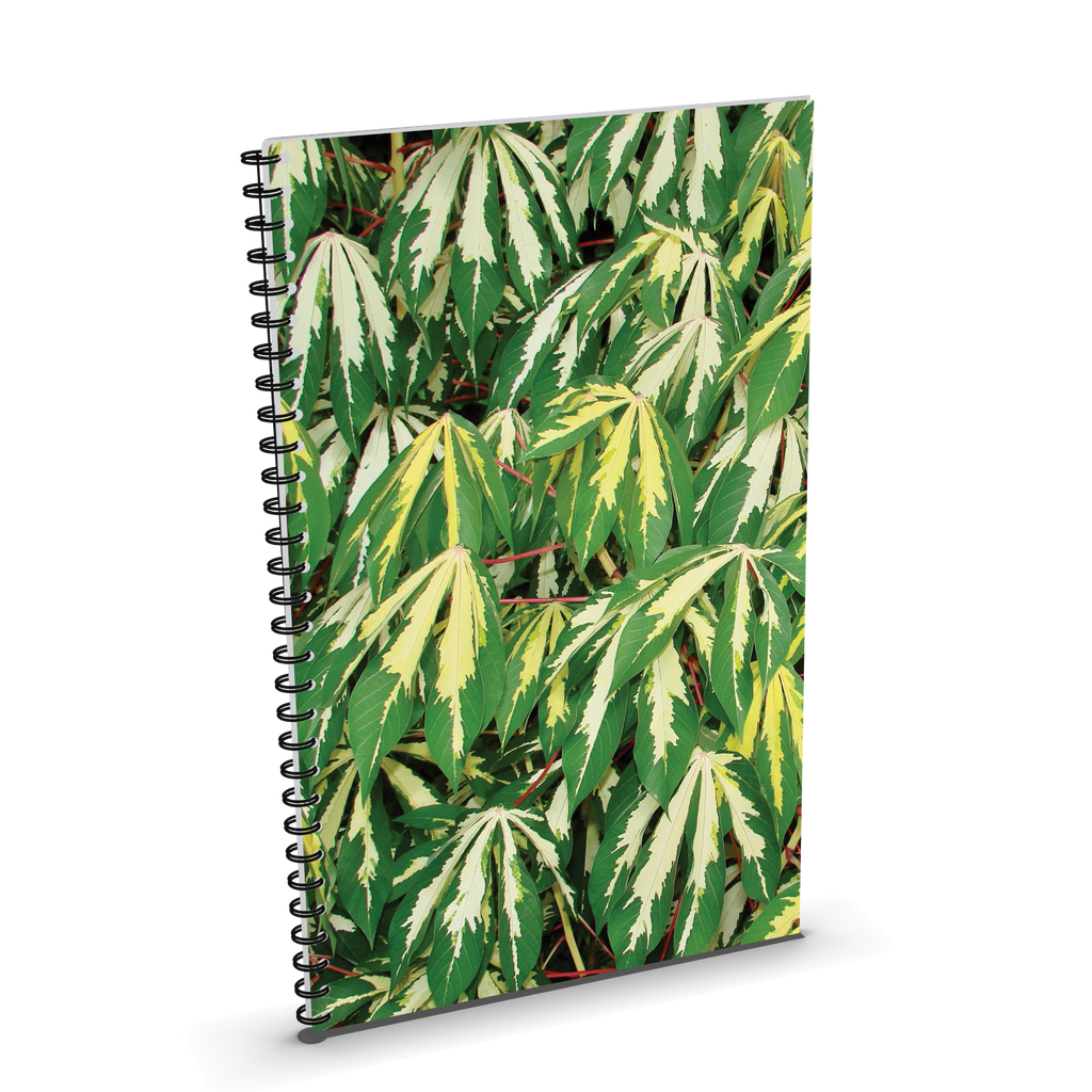 Art-inspired Lined Notebooks by Sapori - 13 Options