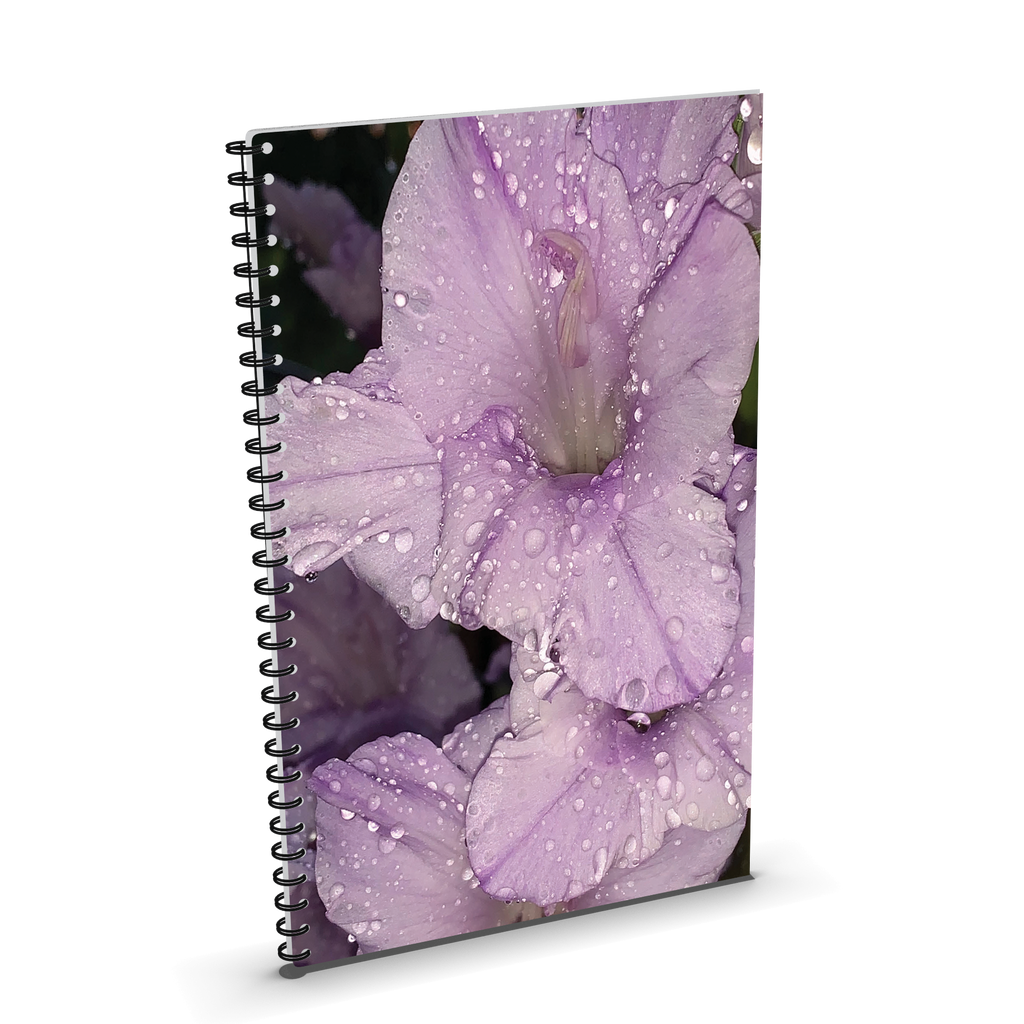 Art-inspired Lined Notebooks by Sapori - 13 Options