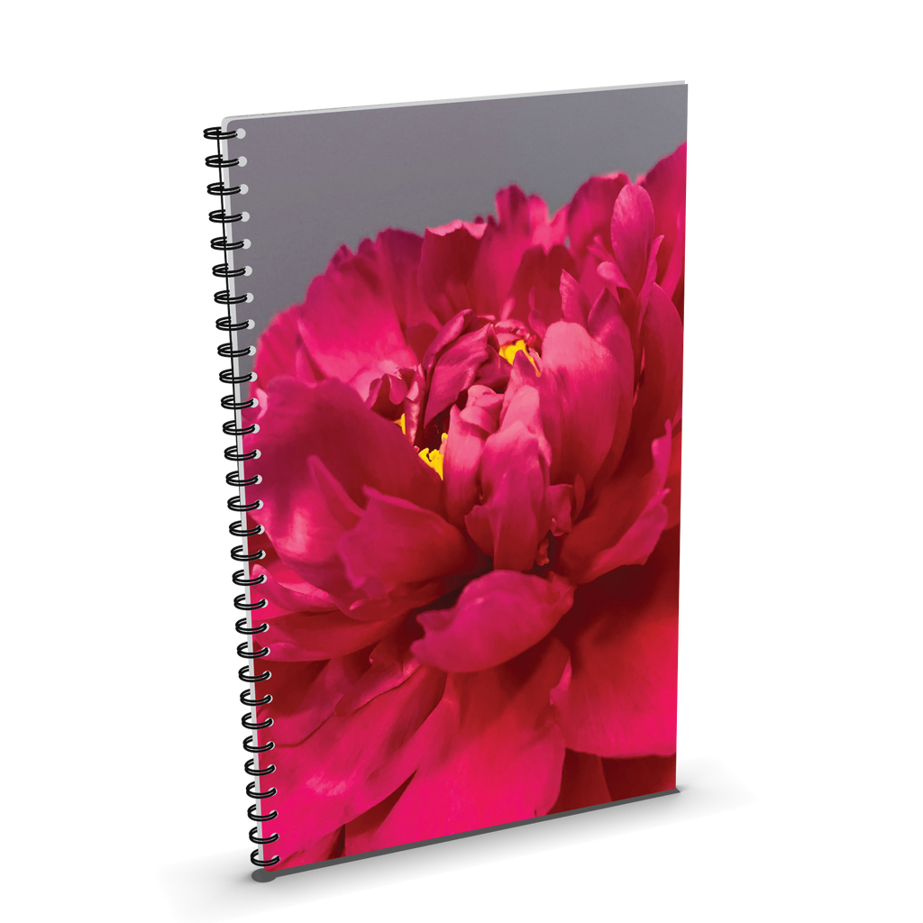 Art-inspired Lined Notebooks by Sapori - 13 Options