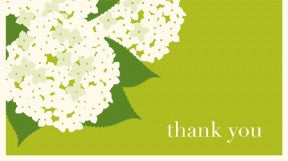 Hydrangea Gratitudes Thank You Box Set